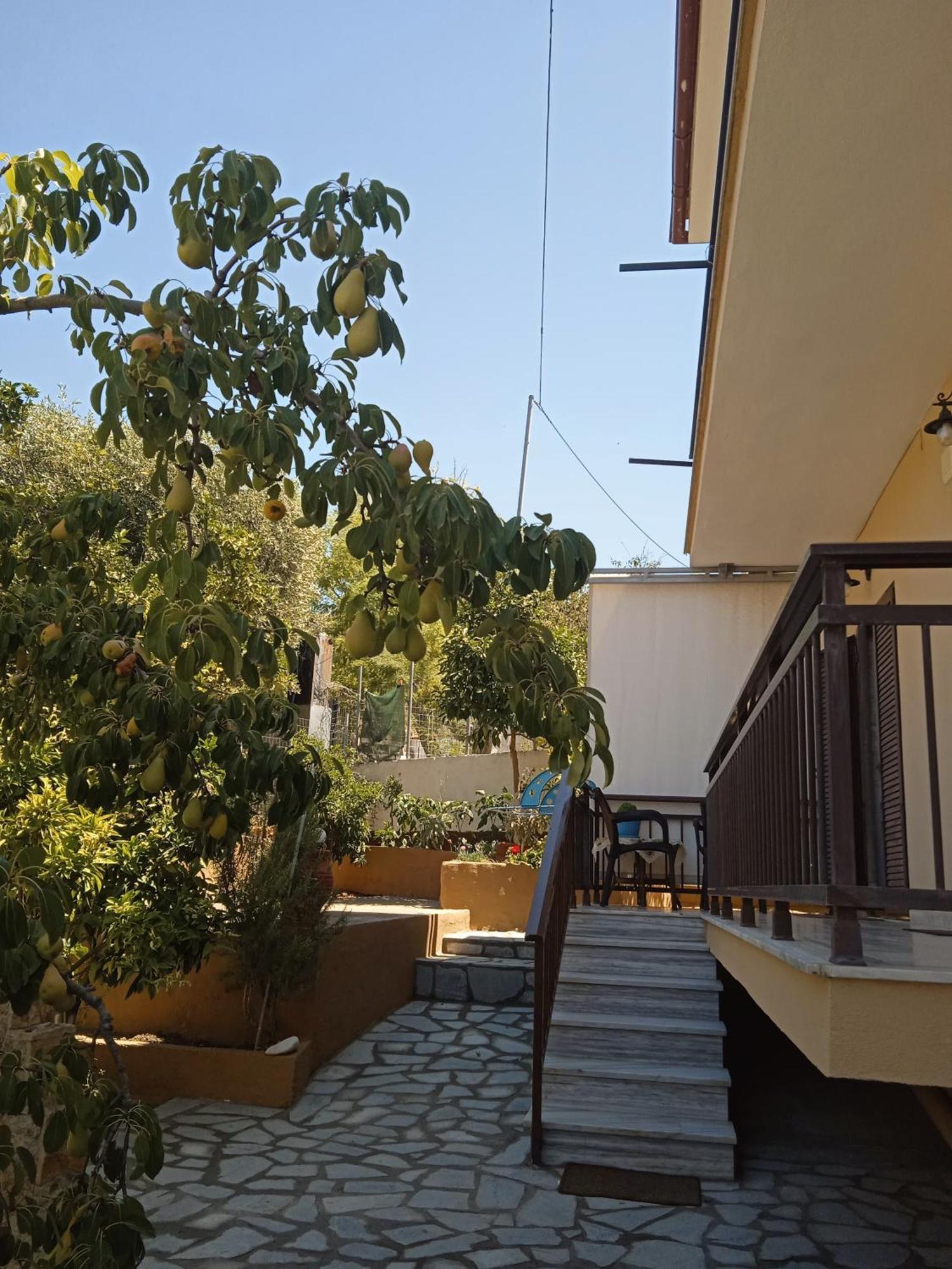 Dimitra'S Garden Apartments Skala Kallirachis Exterior foto